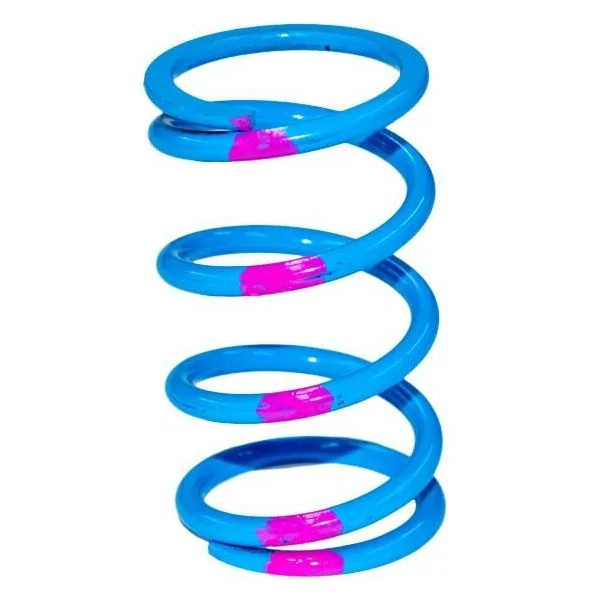 SLP High Performance Primary Clutch Springs Polaris - Image 2